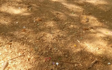 Plot For Sale in Om Nagar