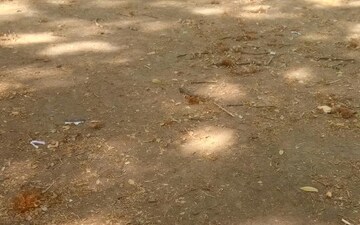Plot For Sale in Om Nagar