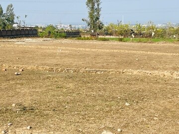 Plot Area in  Plot at Badowala – for Sale
