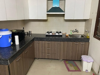 3 BHK Builder Floor For Rent in Dlf Cyber City Sector 24 Gurgaon  8058968