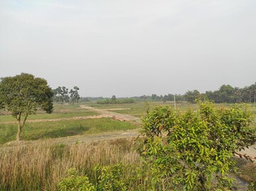 Plot Area in  Plot at Kathigera – for Sale
