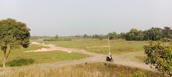 Plot For Resale in Kathigera Lucknow  8058994