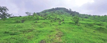 Plot For Resale in Lonavala Pune  7516612