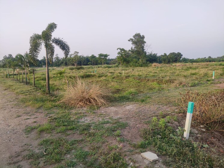 undefined, joka  2880 Sq.Ft. Plot In Joka Kolkata 8059233