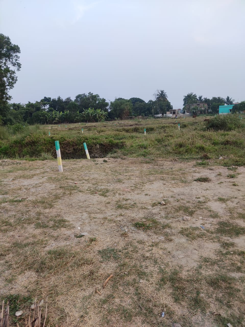 Plot For Sale in Green Plaza 