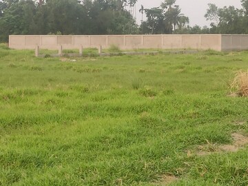 Plot Area in  Plot at Joka – for Sale