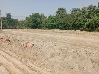 Commercial Land 7000 Sq.Yd. For Resale in Dholera Ahmedabad  8059418