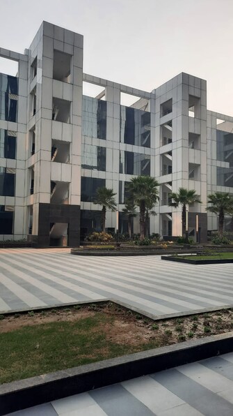 Commercial Office Space 8000 Sq.Ft. For Resale in Sector 132 Noida  8059446