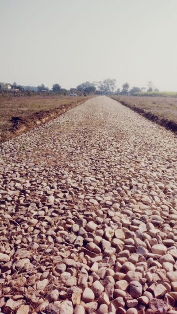 Plot Area in  Plot at Kanwali – for Sale