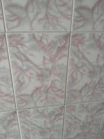 Bathroom in 4 BHK Independent House at Alpha 1 Greater Noida – for Sale