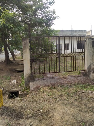  Plot For Sale in Delta Ii Greater Noida