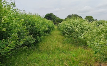 Plot For Sale in Vidhya Nagar