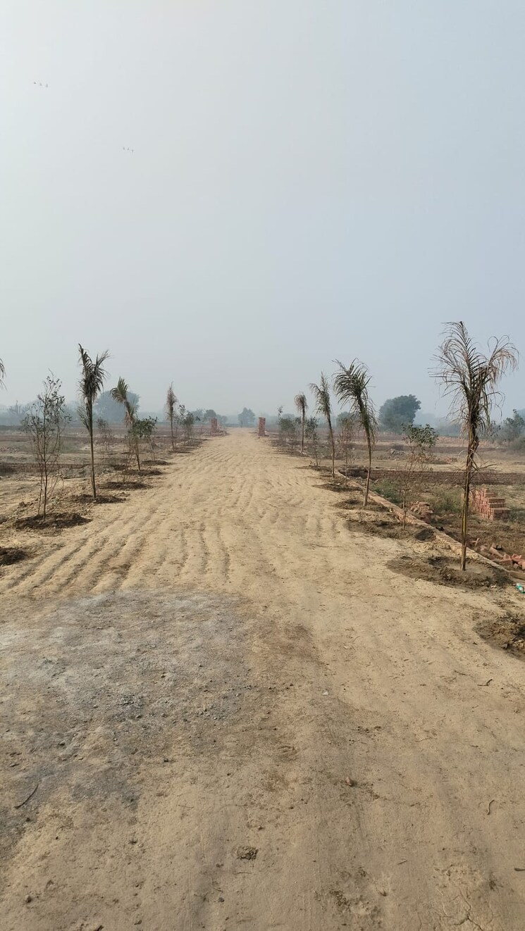 undefined, sarin-farm-chs  100 Sq.Yd. Plot In Habibpur Greater Noida 8060021