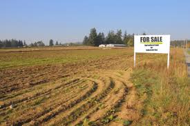 Plot For Sale in Residential Plot