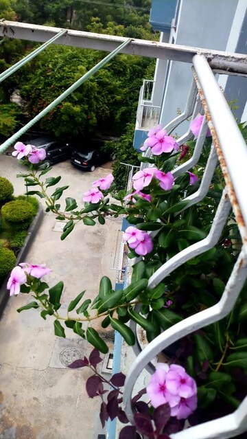 Balcony in 2 BHK Apartment at Sampada Sagar Apartments, Sector 62 – for Rent