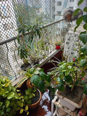 Balcony in 2 BHK Apartment at Sampada Sagar Apartments, Sector 62 – for Rent