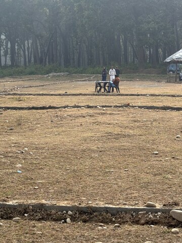  Plot For Sale in Shimla Bypass Road