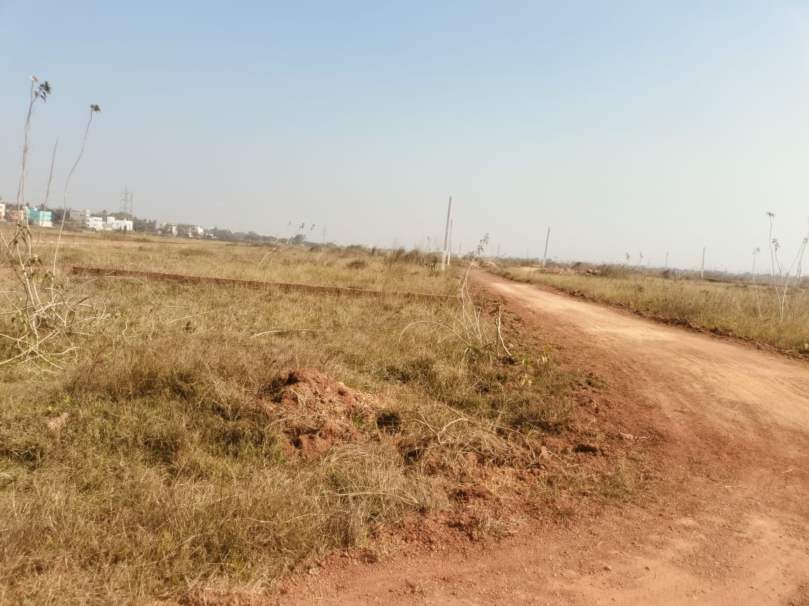 Plot For Sale in Aiims City 