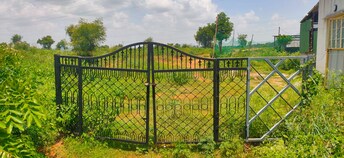 Commercial Land 7260 Sq.Ft. For Rent in Dhanaguru Mandya  8060722