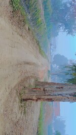 1200 Sq.Ft. Plot in Asim Properties