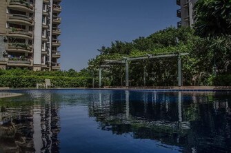 5 BHK Penthouse For Rent in Vipul Greens Sector 48 Gurgaon  8061009