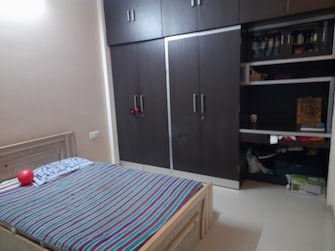 3 BHK Apartment For Rent in Goodwill Paradise Kharghar Navi Mumbai  8061003