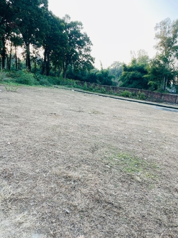 undefined, badowala  104 Sq.Yd. Plot In Badowala Dehradun 8061125