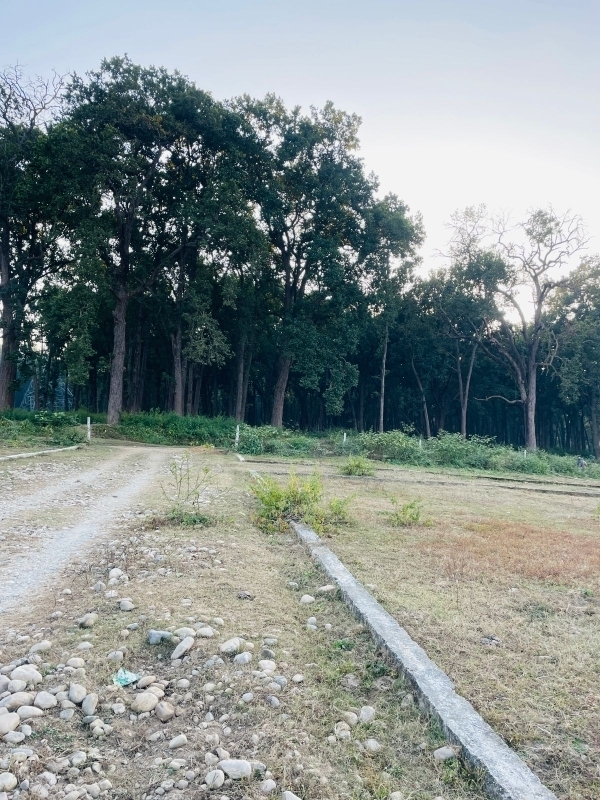 Plot For Sale in Badowala