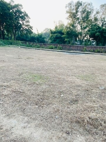 Plot For Sale in Badowala