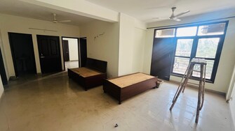 3 BHK Apartment For Rent in Maya Garden City Lohgarh Zirakpur  8061285