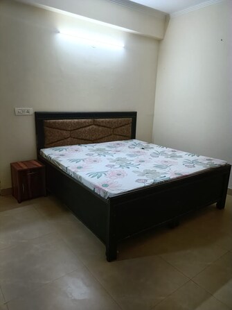 3 BHK Apartment For Rent in Aims Golf City Sector 75 Noida  8061302