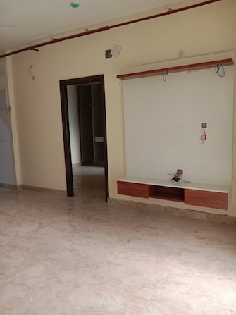 2 BHK Apartment For Rent in Amrapali Dream Valley Tech Zone 4 Greater Noida Greater Noida  8061353