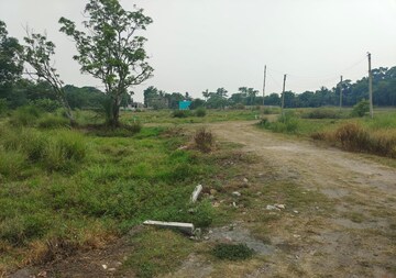Plot Area in  Plot at Joka – for Sale