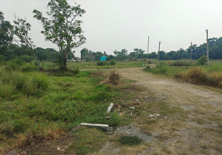 undefined, joka  2880 Sq.Ft. Plot In Joka Kolkata 8061347