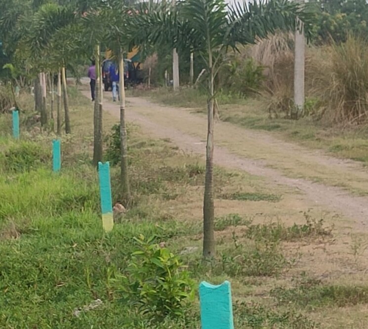 undefined, joka  5760 Sq.Ft. Plot In Joka Kolkata 8061420