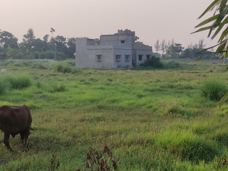 undefined, joka  2160 Sq.Ft. Plot In Joka Kolkata 8061446