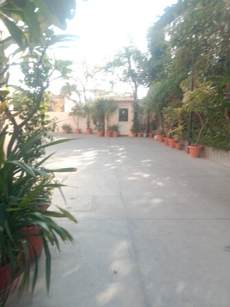 3 BHK Apartment For Rent in Upasana Park West Vaishali Nagar Jaipur  8061530