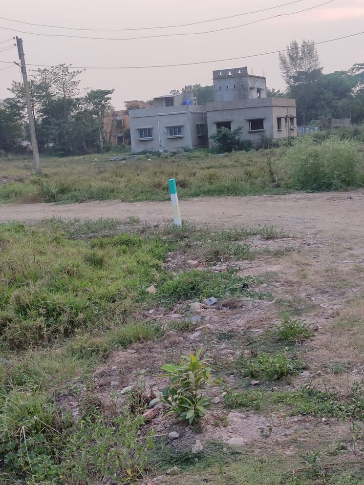 undefined, joka  4320 Sq.Ft. Plot In Joka Kolkata 8061534