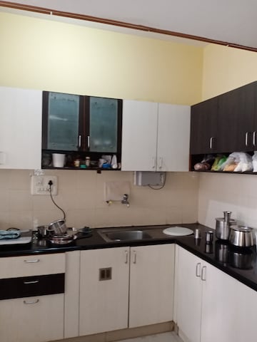 1 BHK Apartment For Rent in Hsr Layout Bangalore  8061858