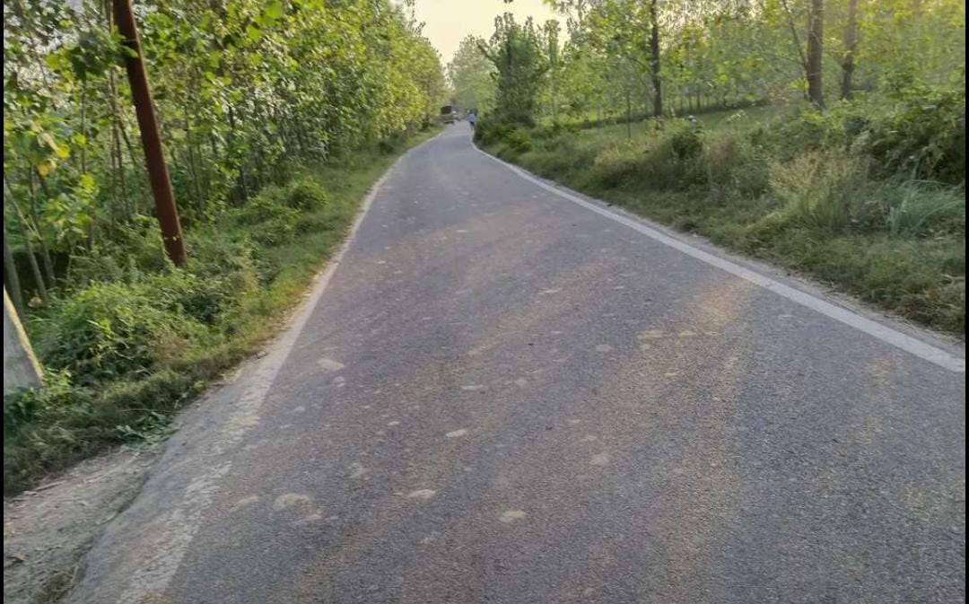 Plot For Sale in Sector 56