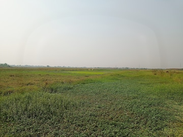 Plot For Resale in Sonarpur Kolkata  8062418