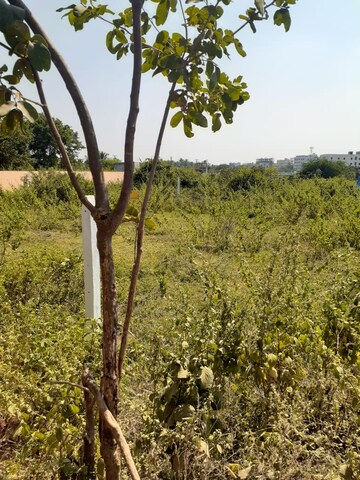  Plot For Sale in Cherlapally