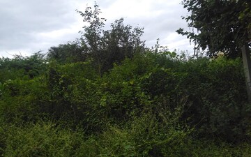 Plot For Sale in Ibrahimpatnam