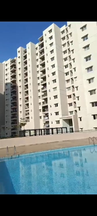 3 BHK Apartment For Resale in Century Breeze Jakkur Bangalore  8062739