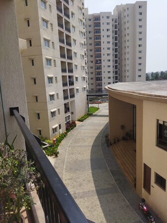 3 BHK Apartment For Resale in Century Breeze Jakkur Bangalore  8062739