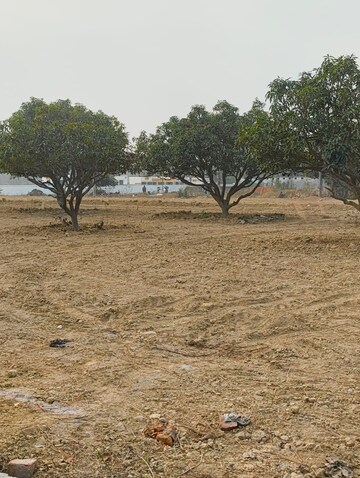 Plot Area in  Plot at Wazirganj – for Sale