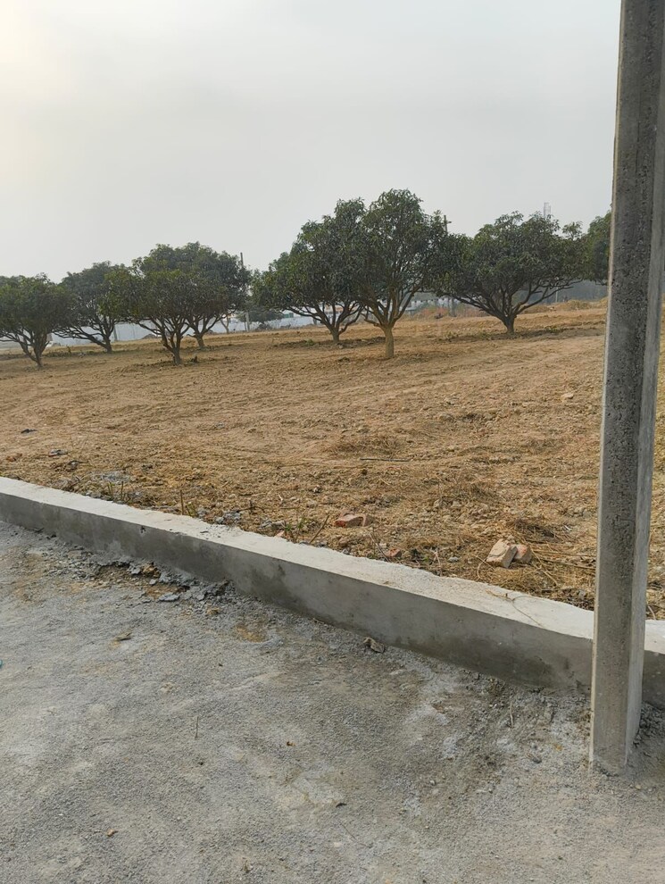 undefined, wazirganj  1250 Sq.Ft. Plot In Wazirganj Lucknow 8062935