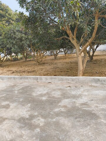 Plot Area in  Plot at Wazirganj – for Sale
