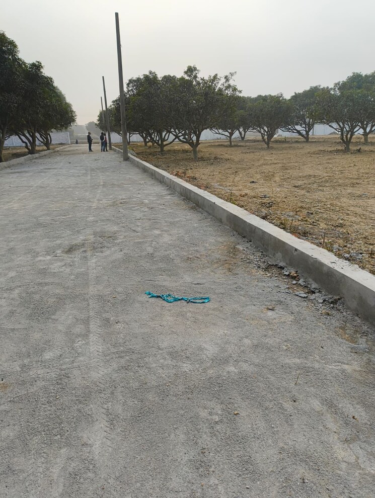 undefined, wazirganj  1250 Sq.Ft. Plot In Wazirganj Lucknow 8062935