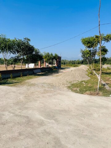  Plot – Exterior View View at Shimla Road - for Sale